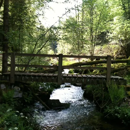 Les Ecureuils * Saint-Nabord