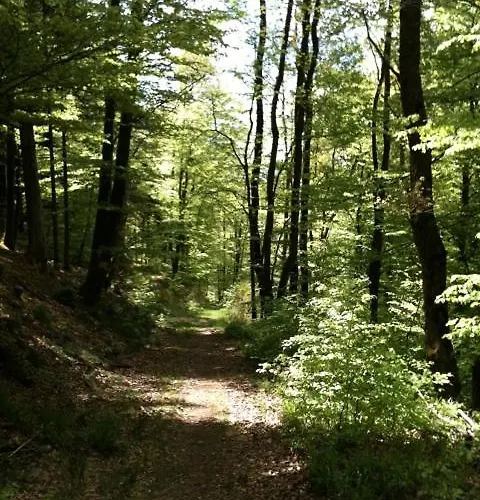 Horská chata Les Ecureuils