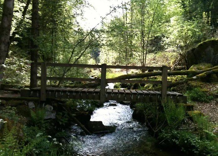 Les Ecureuils * Saint-Nabord